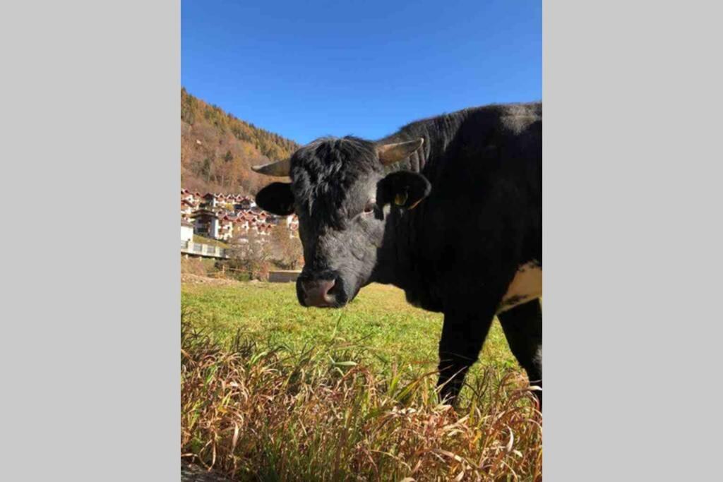 Tabla - Confort Ed Eleganza A 100 Mt Dagli Impianti Aprica Exteriér fotografie